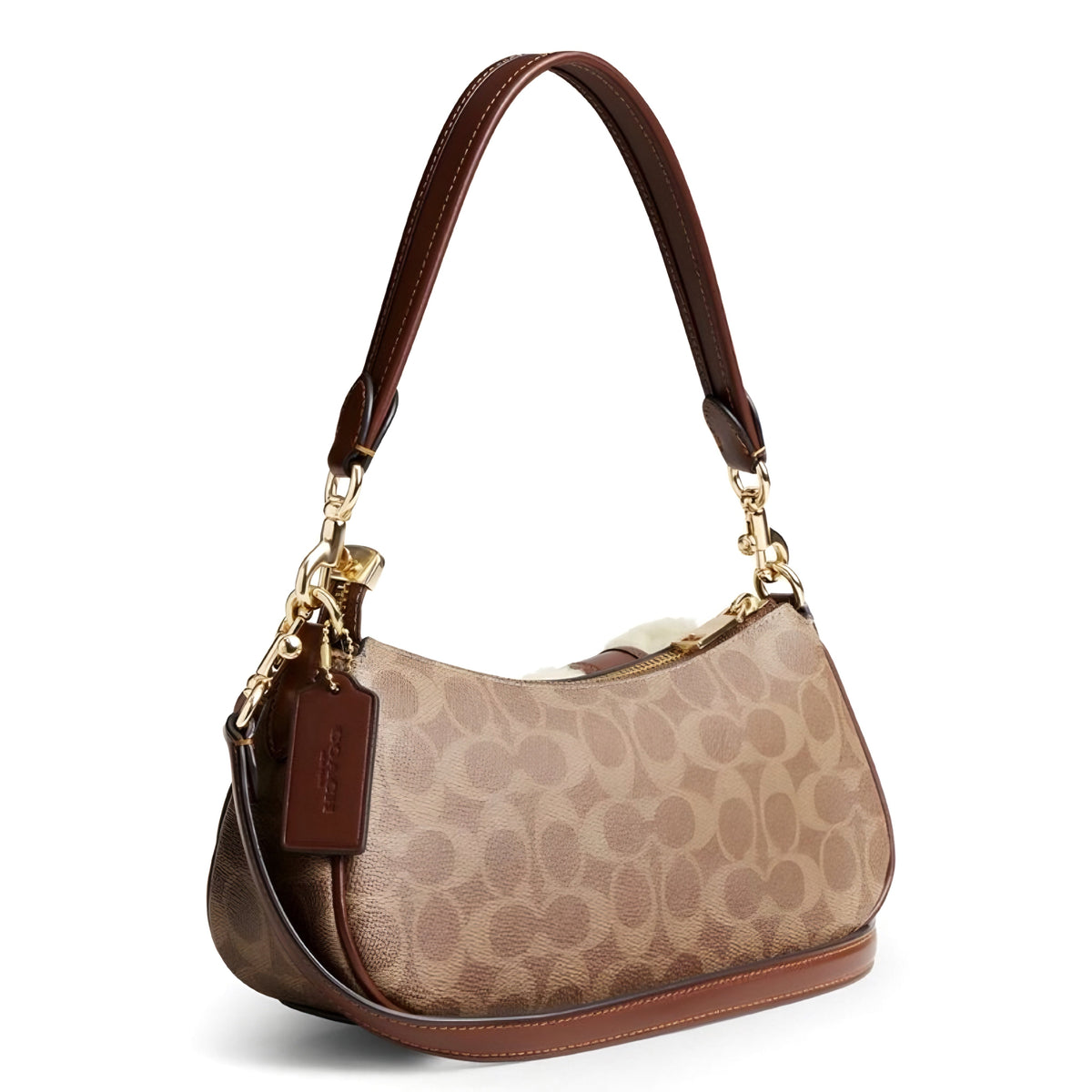 Coach Ashton Bag In Signature Canvas